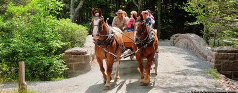 Wildwood Stables Acadia Carriage Rides Maine Road Trip East Coast