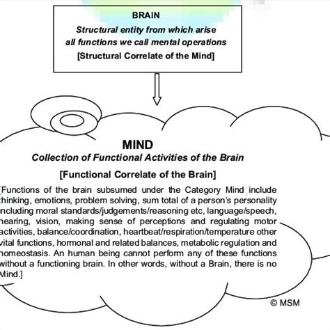 The Structure Brain Carries Out Functions Like Thinking Emotions