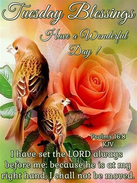 Pin on Tuesday Blessings