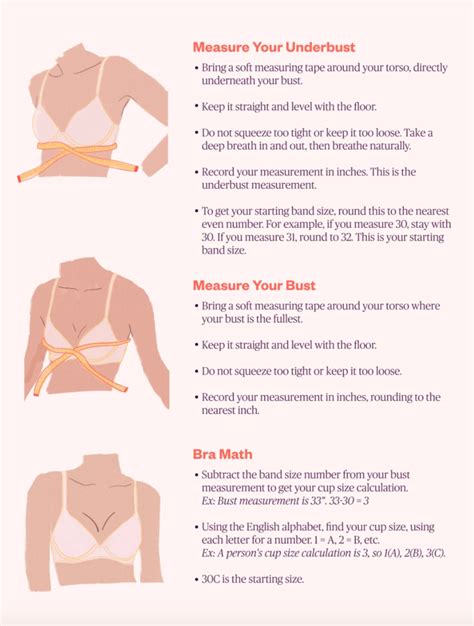 Expert Approved Bras For Different Size Busts And Fits Starting At