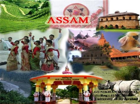 Assam The Beautiful State Of North East India