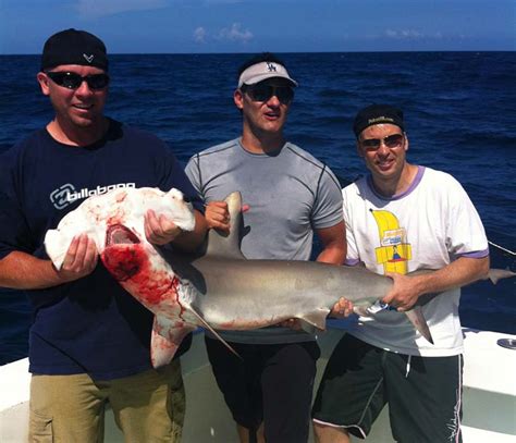 Summer Shark Fishing In Miami Fl Spellbound