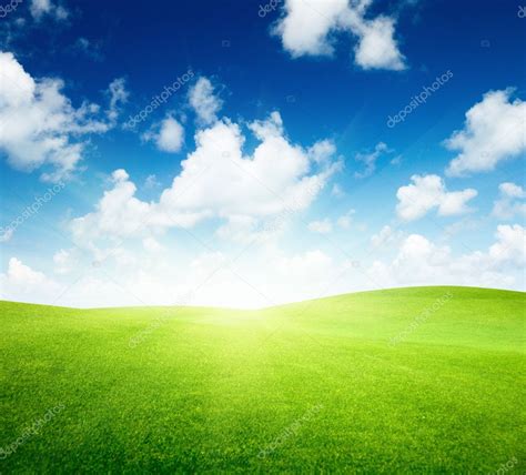 Field Of Green Grass And Blue Sky — Stock Photo © Iakov
