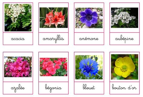 A La Douce Cartes De Nomenclature Fleurs