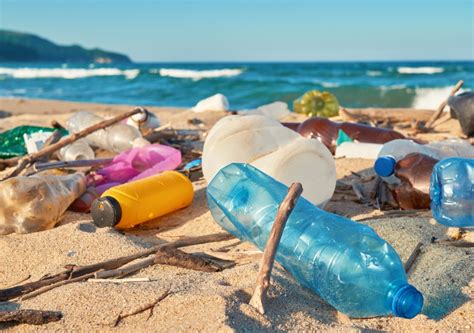 Lifes A Beach Finding Trends In Marine Debris Across Australia Unsw