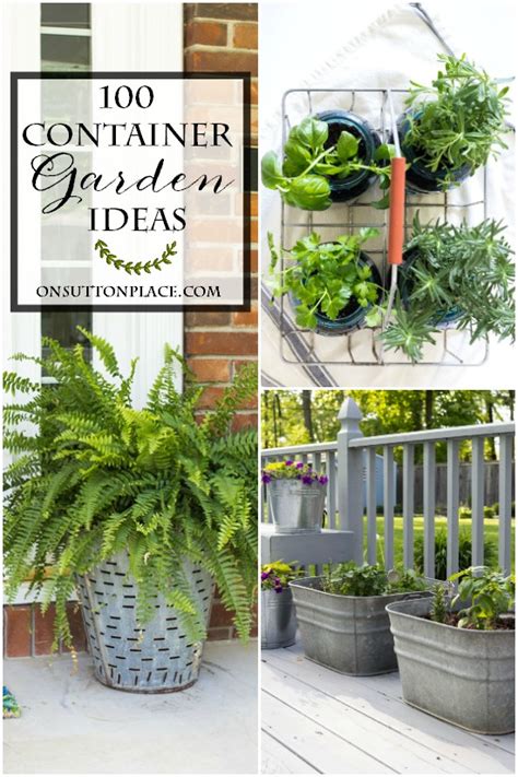 100 Container Garden Ideas