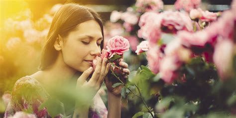 Should I Stop And Smell The Roses Or Seize The Day Huffpost