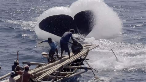 A Film 27 Years In The Making Captures Life In Whale Hunting Indonesian
