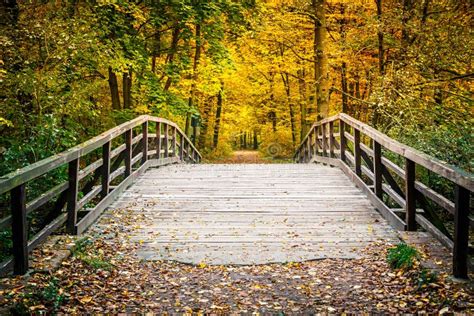 Bridge In Autumn Forest Stock Image Image Of Fall Path 32916519