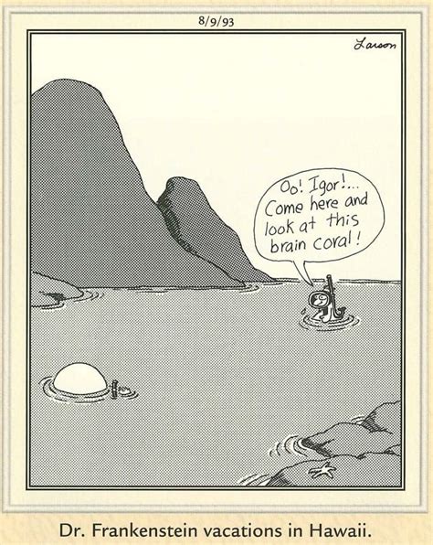 An Image Of A Comic Strip With The Caption Dr Franklin Vacations In Hawaii