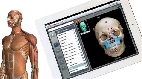 Download available for android and ios gadgets. Android Apps to Learn Human Anatomy - AptGadget.com