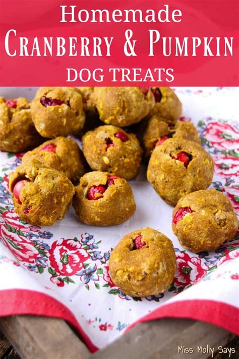 Homemade Cranberry And Pumpkin Dog Treats Miss Molly Says