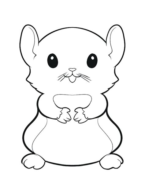 Hamster Coloring Pages Preschool Print Coloring Image Momjunction