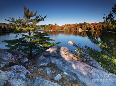 Lake George At Killarney Provincial Park In Fall Photograph By Maxim