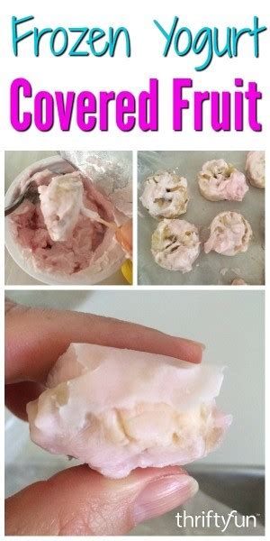 Frozen Yogurt Covered Fruit Thriftyfun