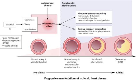 Women And Ischemic Heart Disease Evolving Knowledge Journal Of The American College Of Cardiology