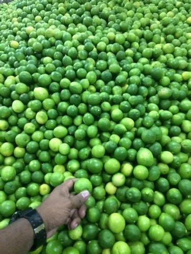 A Grade Fresh Green Lemon Packaging Size 50 Kg At Rs 20kg In Nashik