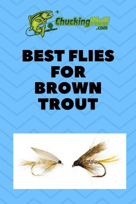 Best Flies For Brown Trout 2021 Catch More Fish Brown