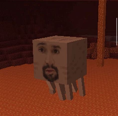 Pin By Callmenico0 On Майнкрафт Minecraft Weird Images Funny Memes