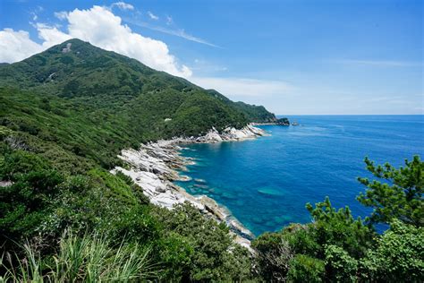 Yakushima Island Japan Travel Guide — Sam Spicer Photography