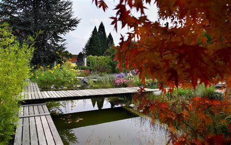 Das macht einen naturgarten aus die kernkriterien verzicht auf natur im garten der weg zur vorarlberger gartenplakette eine initiative von faktor natur und projektpartner land vorarlberg. Lehr- und Schaugärten der Gartenbauschule Langenlois ...