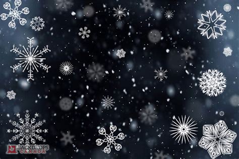 Falling Snowflakes ~ Backdrops Canada