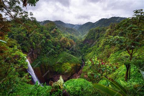 Catarata Del Toro Cachoeira Com Montanhas Circundantes Na Costa Rica