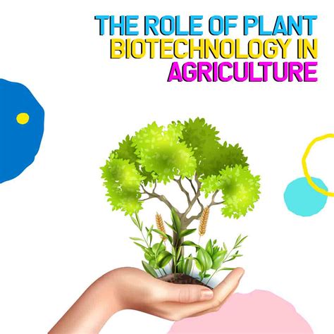 The Role Of Plant Biotechnology In Agriculture I3l