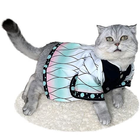 Buy Jsvdecat Costume Anime Cat Clothes Cat Halloween Costume Kochou