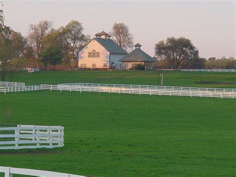 Free Kentucky Horse Farm 3 Stock Photo