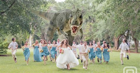Nwk To Mia Jurassic Park Wedding Photo Is Amazing