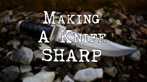Best cheap knife sharpeners in 2020#bestcheapknifesharpeners #cheapknifesharpeners #cheapknifesharpeners2020 we have put up more than 65 hours of research. Sharpens Best Knife Sharpener Review - YouTube