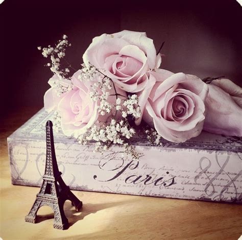 Pin By Nicolle Mares On Take Me To Paris Pink Paris Paris