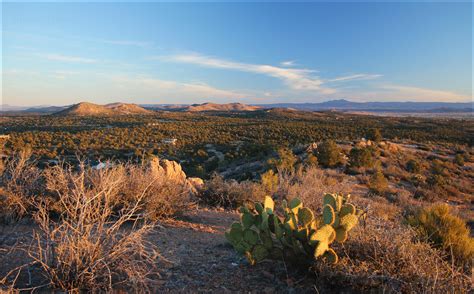 Chinovalley Azjerome