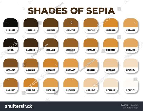 10668 Shades Of Sepia Images Stock Photos And Vectors Shutterstock