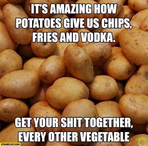 Its Amazing How Potatoes Give Us Chips Fries And Vodka Get Your Shit