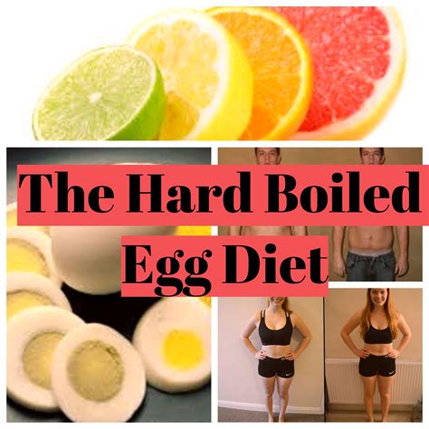 It has been designed to help people who are willing to lose weight without sacrificing the requisite protein their. Eggs are the superfood that is right under our nose. Low in calories and high in nutrients ...
