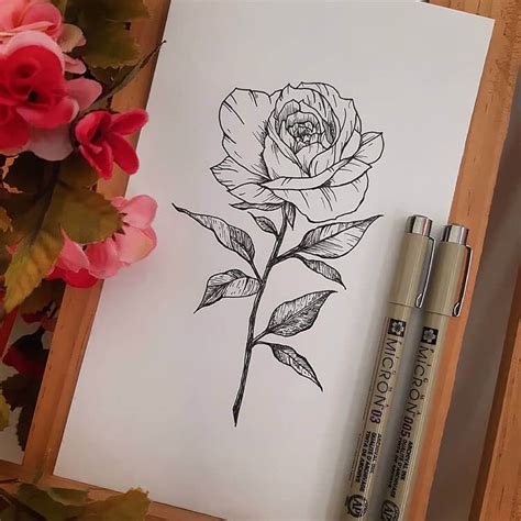 Learn How To Draw Roses With These Easy References Beautiful Dawn Designs