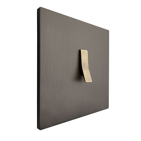 Brushed Graphite Brass Plate With Antique Bronze Toggle Light