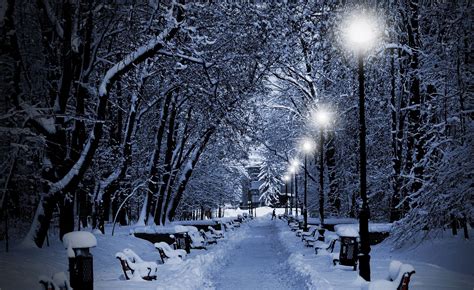 Photography Nature Winter Trees Snow Bench Night Lights Park