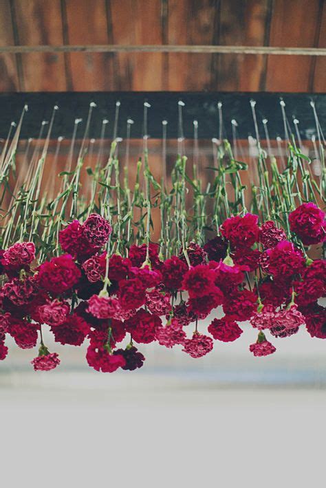 37 Best Carnation Flower Arrangements And Bouquets Ideas Carnations