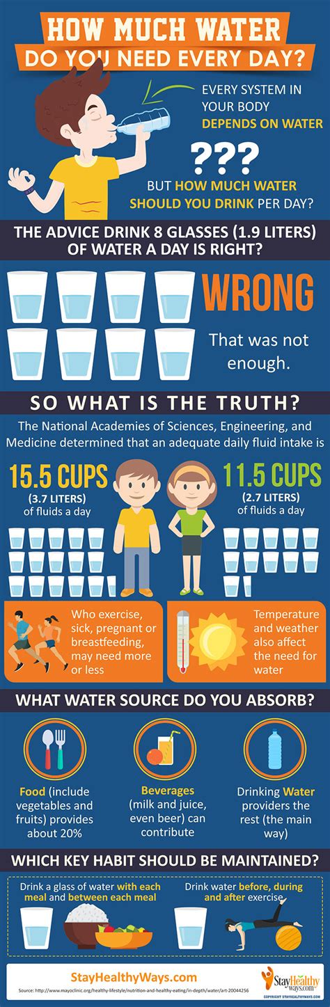 How Much Water Should You Drink Every Day Infographic