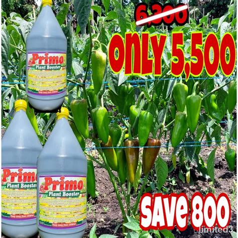 Primo Plant Booster Foliar Fertilizer Shopee Philippines
