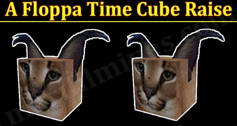 A Floppa Time Cube Raise April Know How To Obtain It