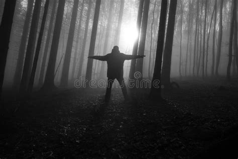 Alone Man In A Foggy Dark Forest Stock Photo Image Of Foliage