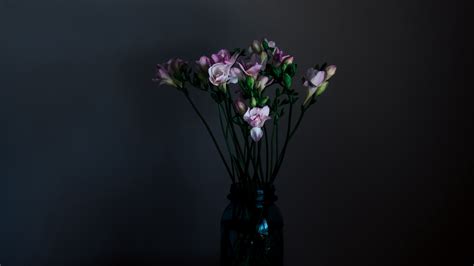 Wallpaper Flowers Vase Bouquet Dark 2560x1440 Seesalt 1501141