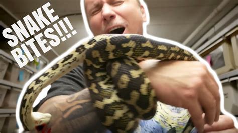 Snake Bites Sex Snakes And Haunted Cemetery Brian Barczyk Youtube