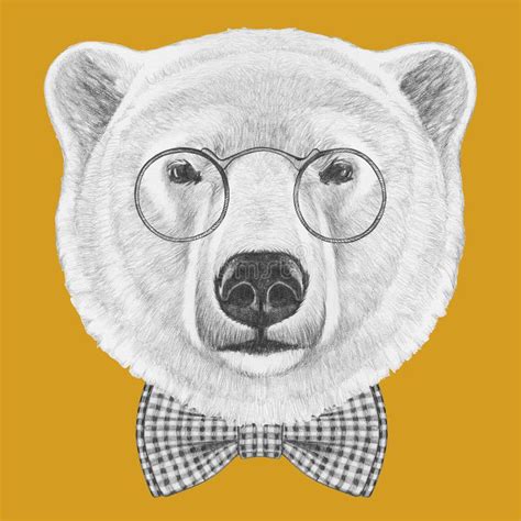 Portrait Of Polar Bear With Glasses And Bow Tie Stock Illustration