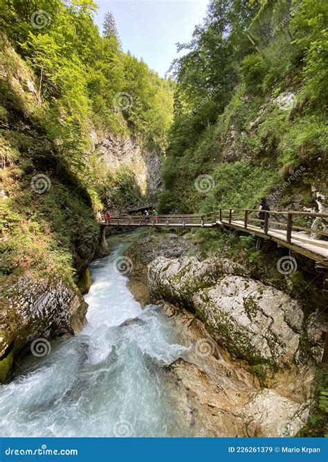 The Vintgar Gorge Or Bled Gorge Bled Slovenia Triglav National Park