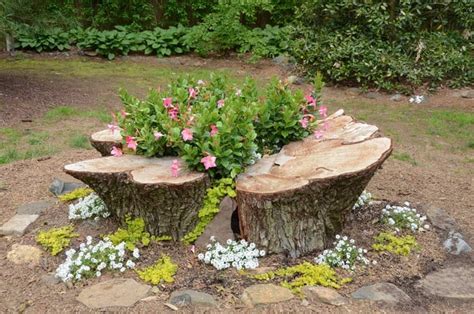 How To Make A Tree Stump Planter Stumpbustersllc